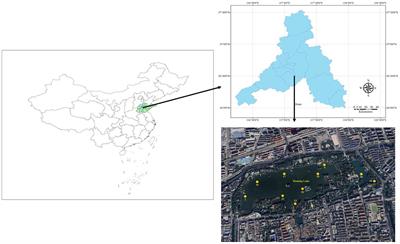 Succession characteristics of phytoplankton functional groups and ecological assessment in a cold spring-type urban lake, China